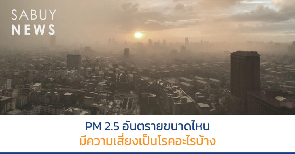 PM 2.5 อันตรายขนาดไหน